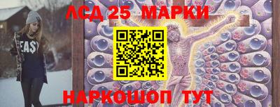 спиды Обь