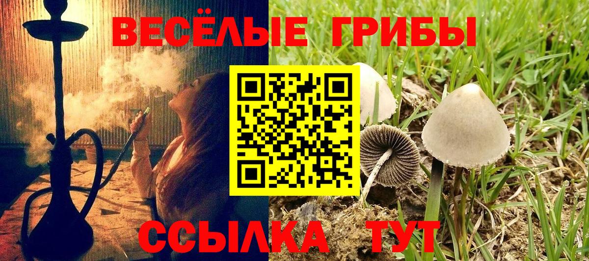 Новый Уренгой  Галлюциногенные грибы ЛСД  Вход с VPN 